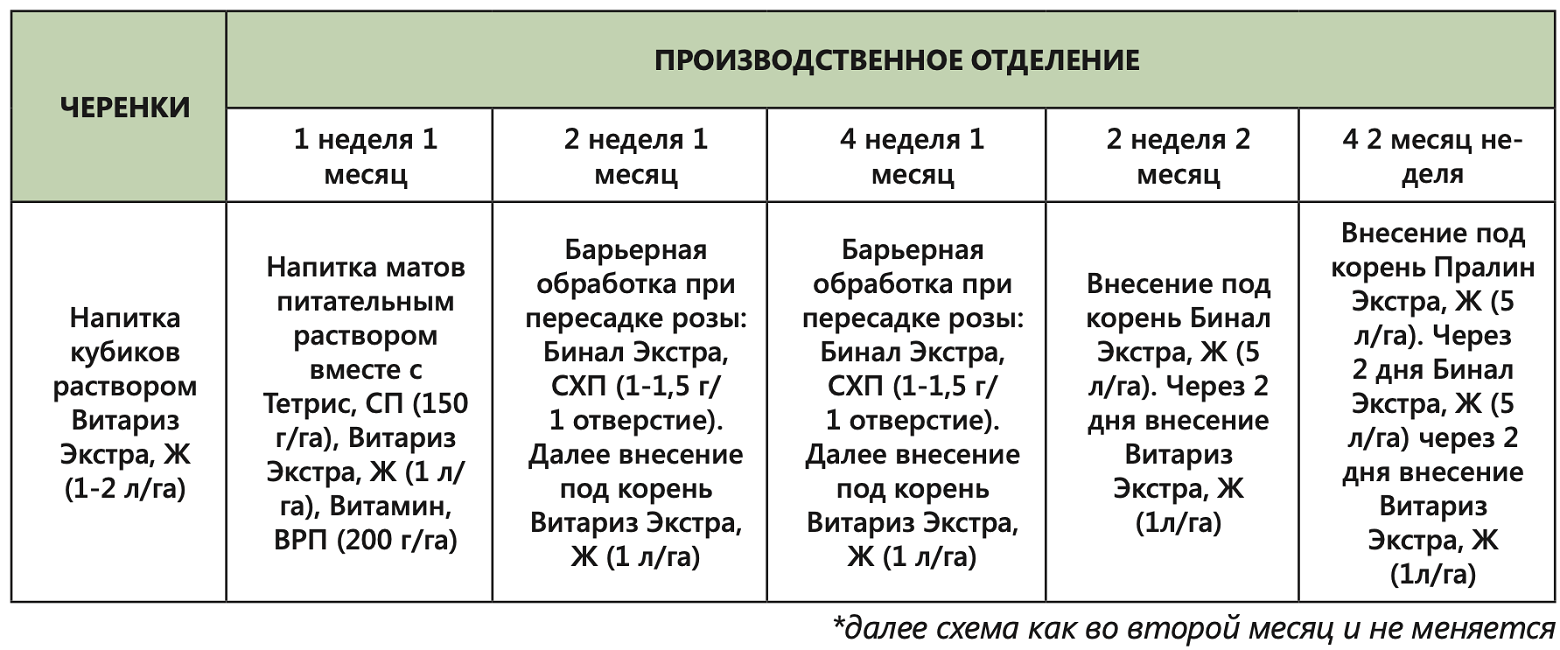 Примерная схема защитных биологических обработок культуры розы в   защищенном грунте