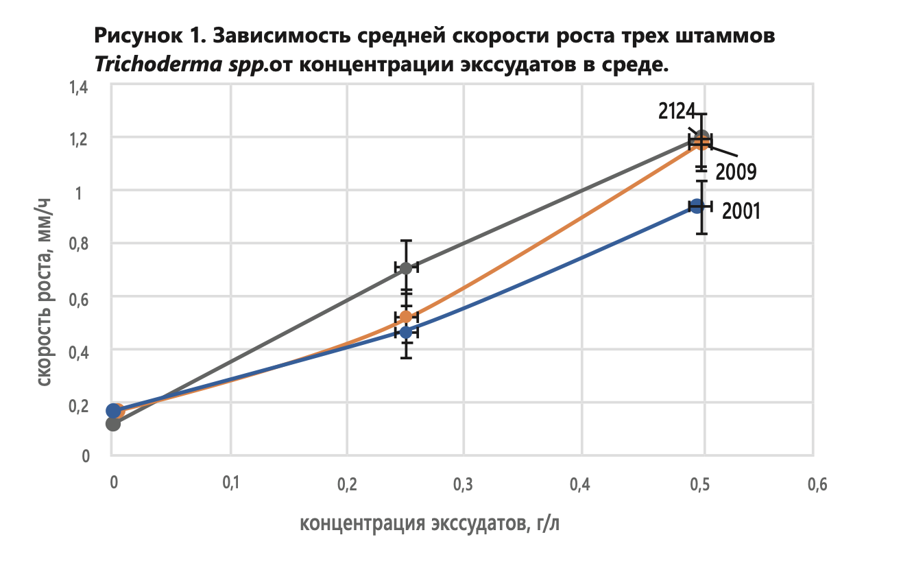 Тетрис