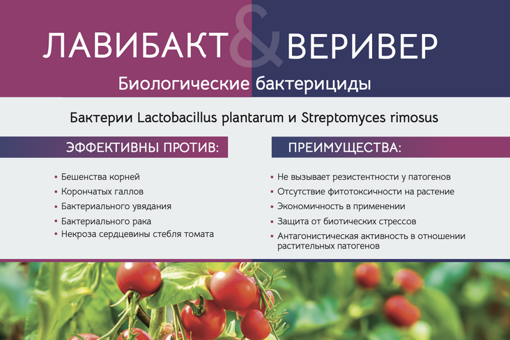 Биологические препараты компании БИОМ против бактериозов