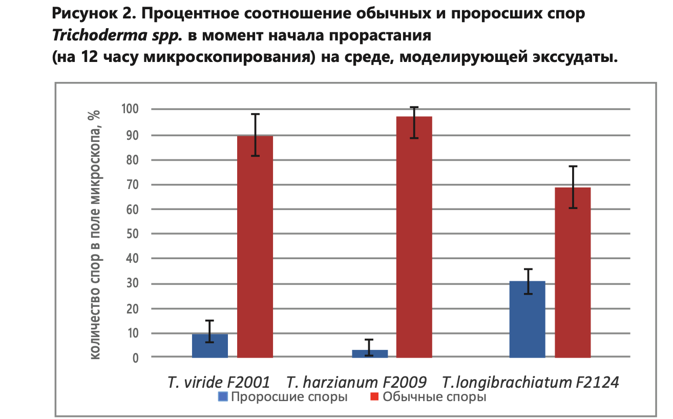 Тетрис