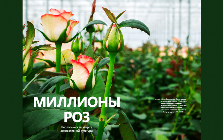 Миллионы роз. Биологическая защита декоративной культуры