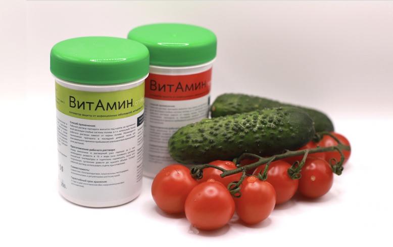Гормон фитосчастья – Витамин