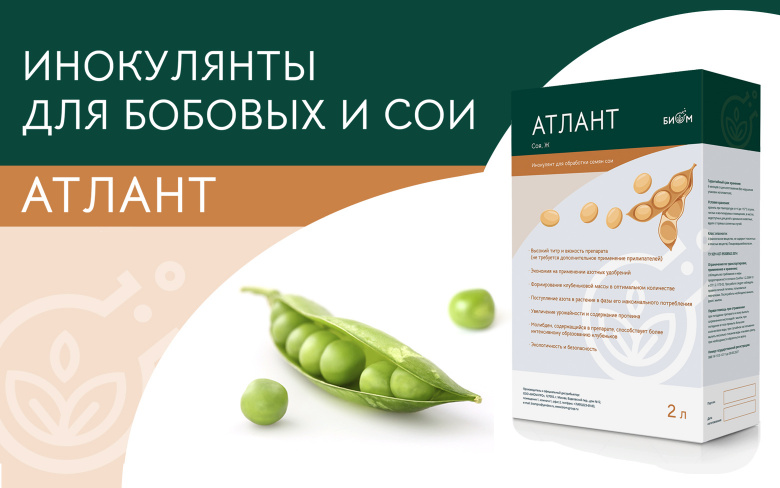 Атлант – инокулянты для бобовых